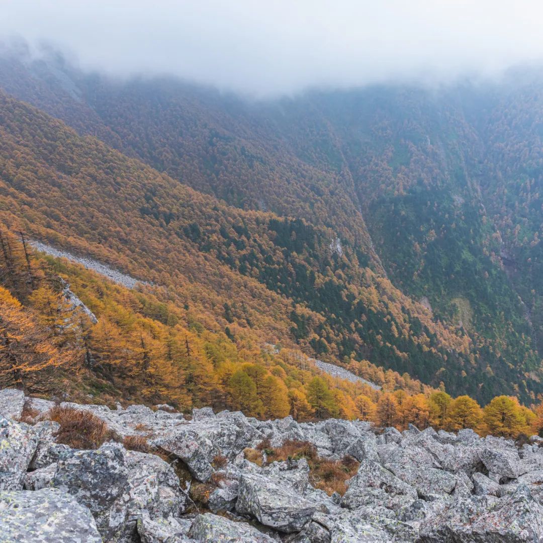 太白山是陕西最高点吗,秦岭最高峰太白山