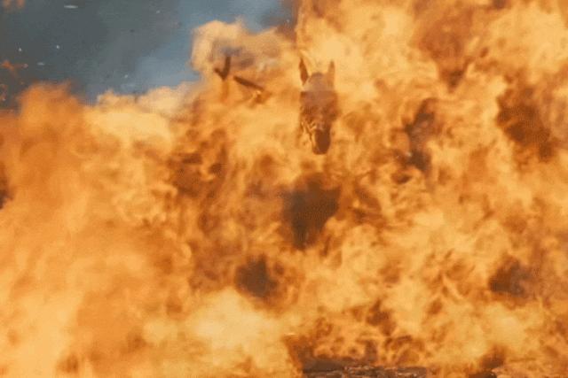 行走河南读懂中国数字文化,行走河南读懂中国之龙门石窟