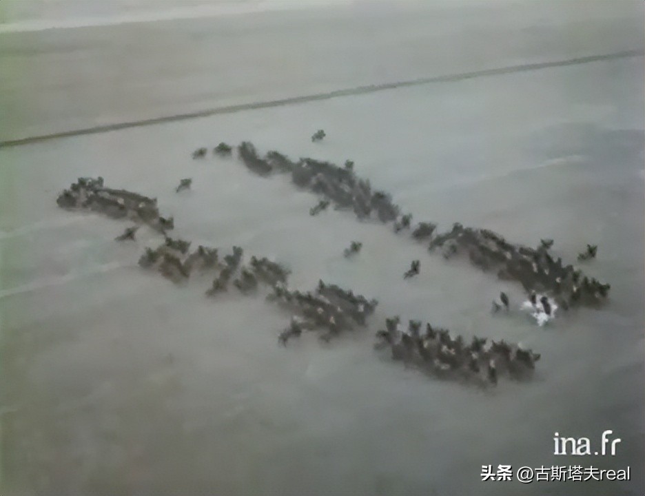 慢步快步跑步袭步，拿破仑时代的骑兵如何迈步前行？