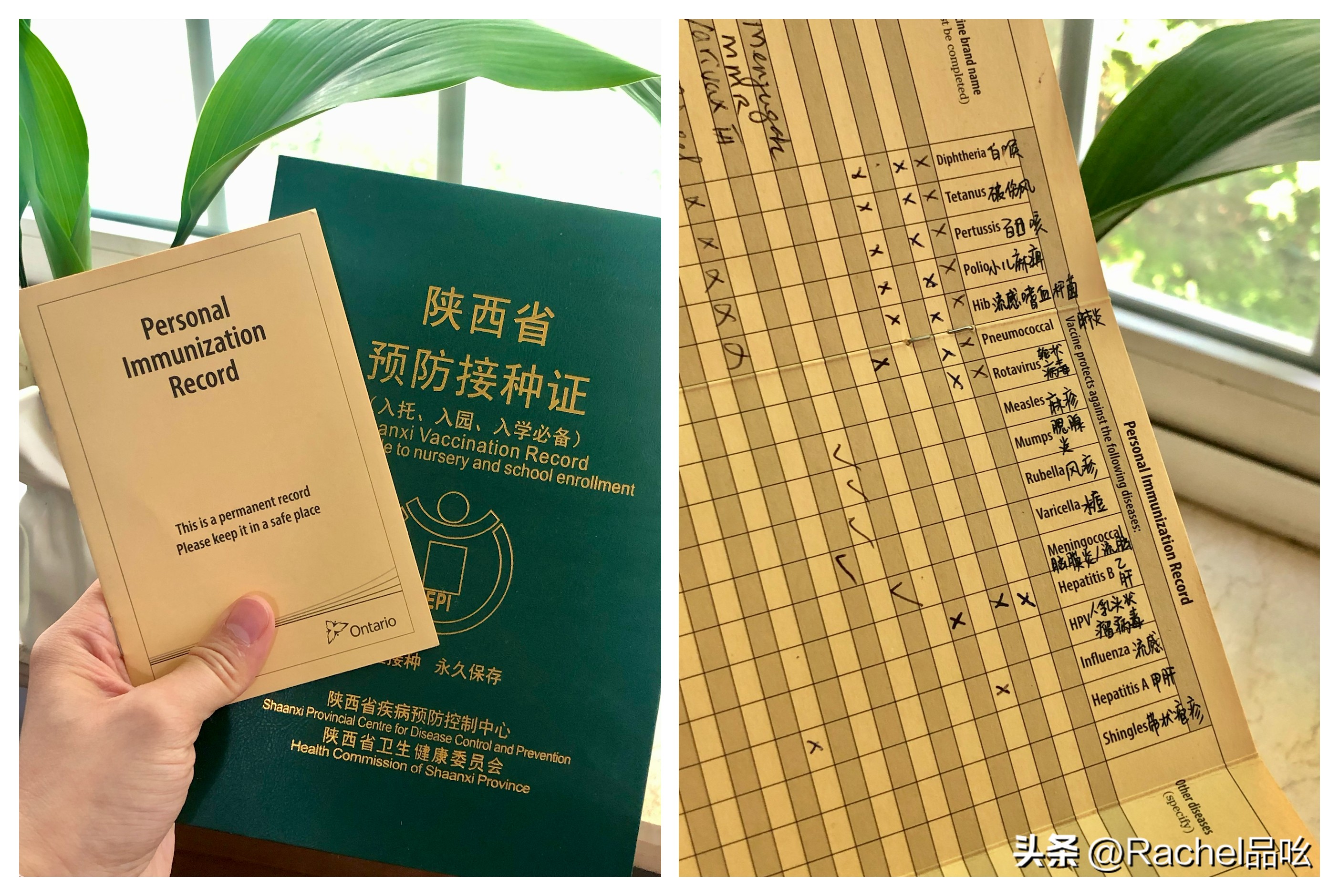 儿童疫苗妈妈必看,新手妈妈疫苗接种课堂