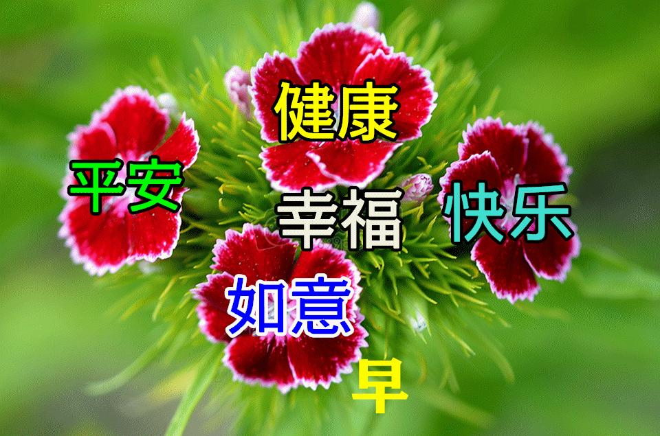 周五问候祝福动态表情图片大全，做一个善良的人，做快乐的自己