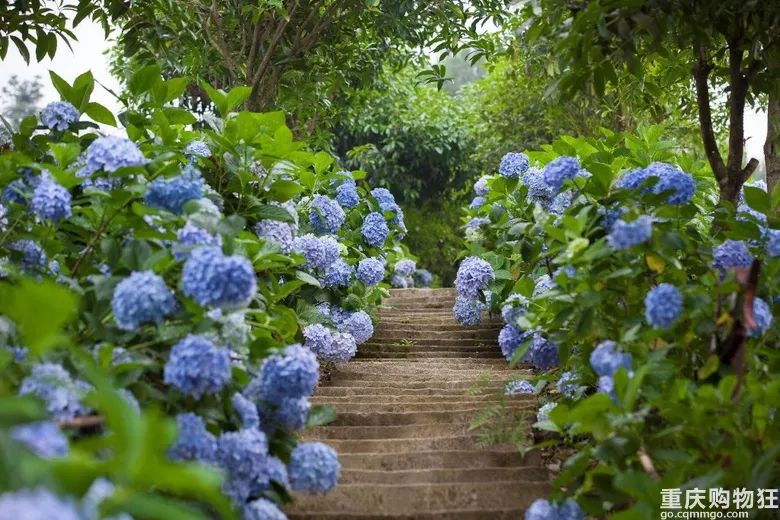 小长假旅游景点大全,夏季周边旅游美食之旅