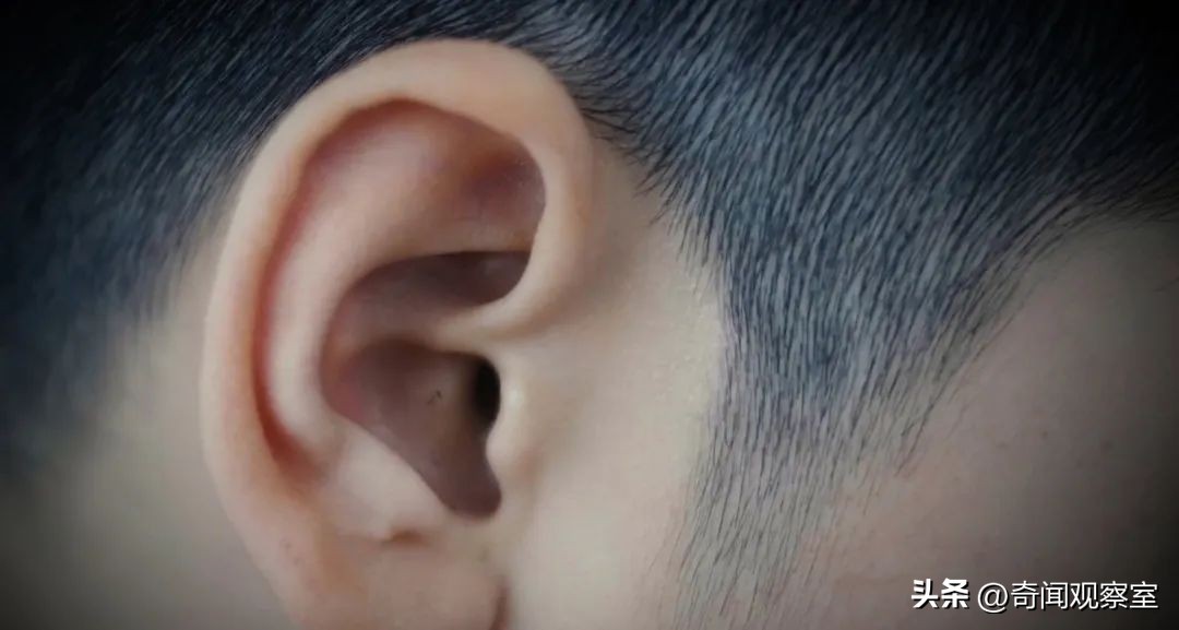 英国历史离奇失踪事件,英国2010年以内发生什么事情