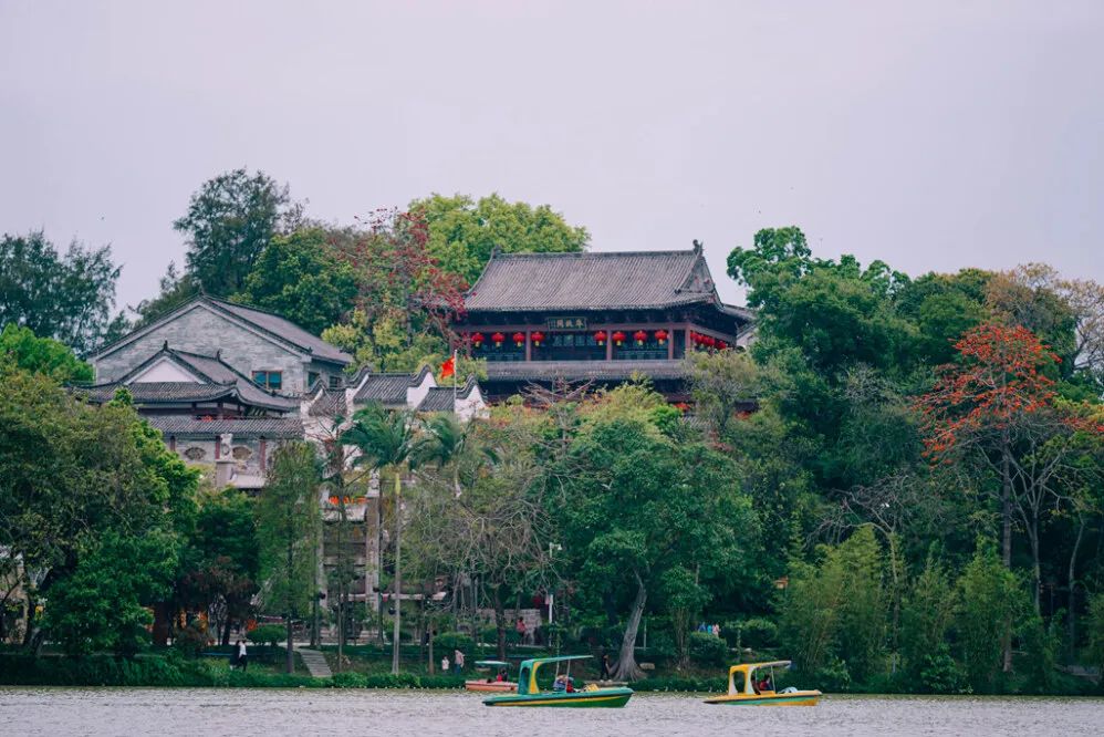 惠州免费春游踏青最佳去处,惠州周边踏青一日游