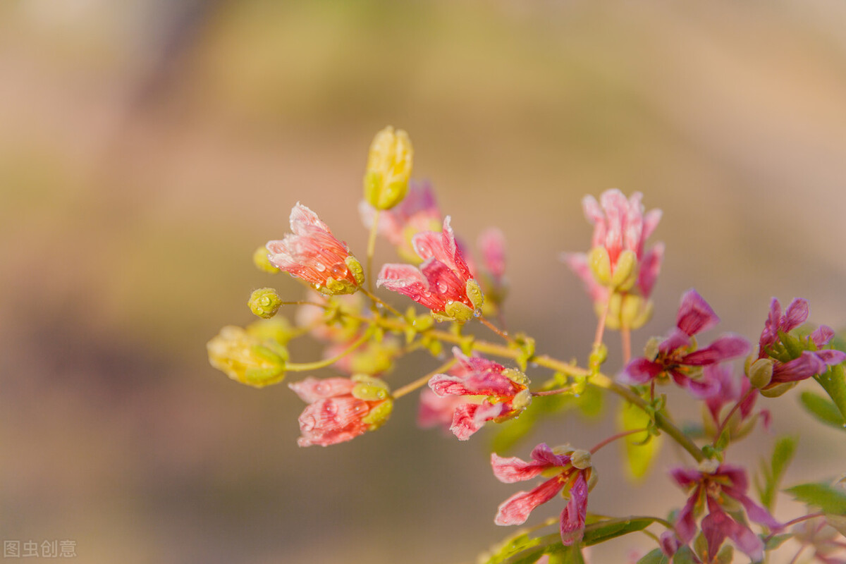 门不当户不对的婚姻，只能眼睁睁看着老公吃喝嫖赌而没有办法