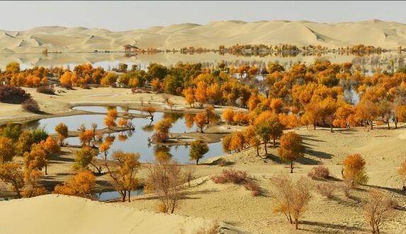 天下霸唱真的了解历史吗,天下霸唱是不是把鬼吹灯全写了