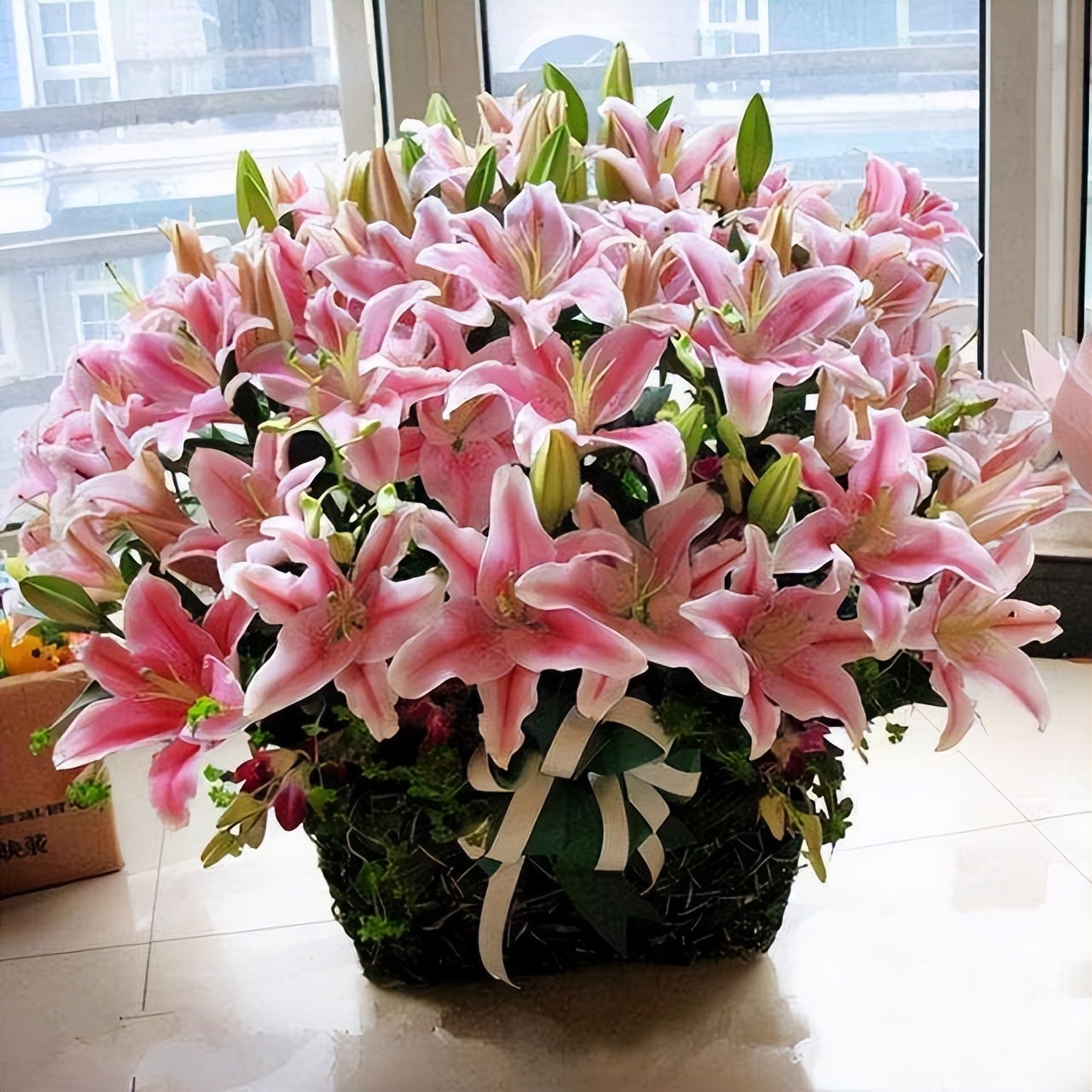 哪些室内花花期长又好养,室内养太多花好吗