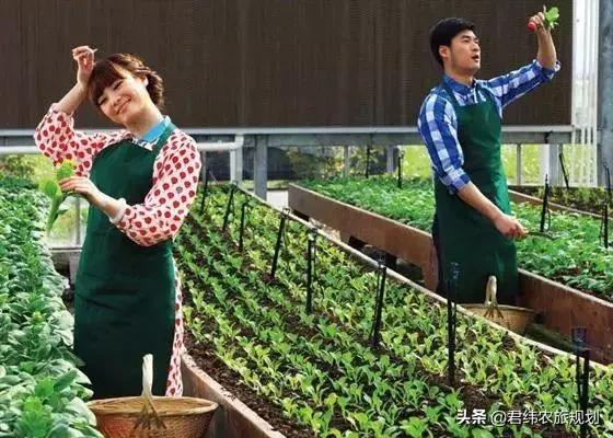 田园东方赚钱吗,田园东方靠谱吗