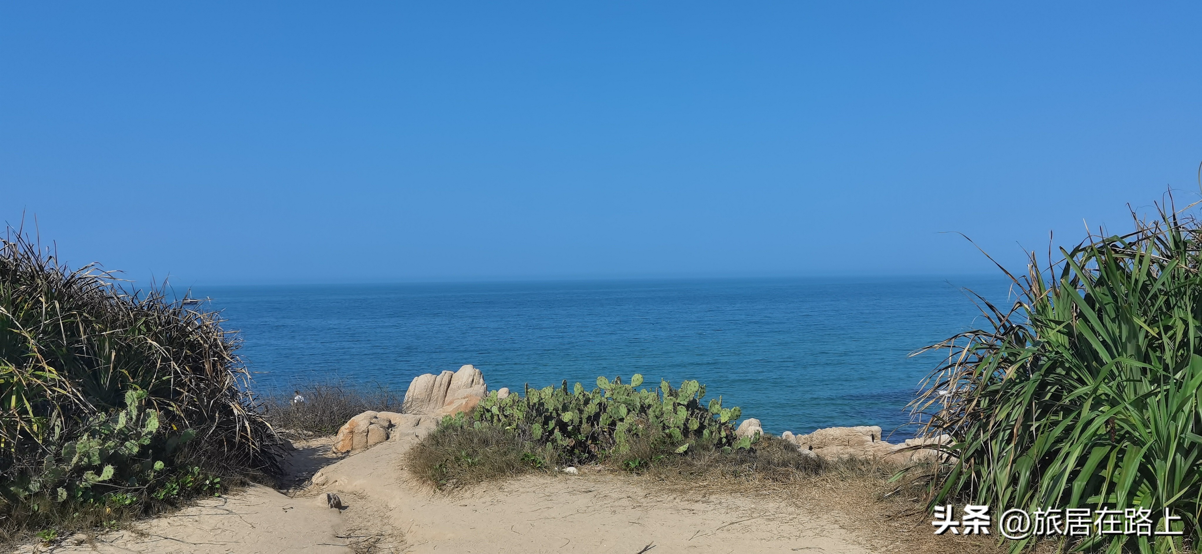 棋子湾上的仙人掌,海南棋子湾旅游攻略一日游