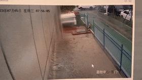 车停在小区被树砸了谁负责,车停路边被树砸伤谁负责