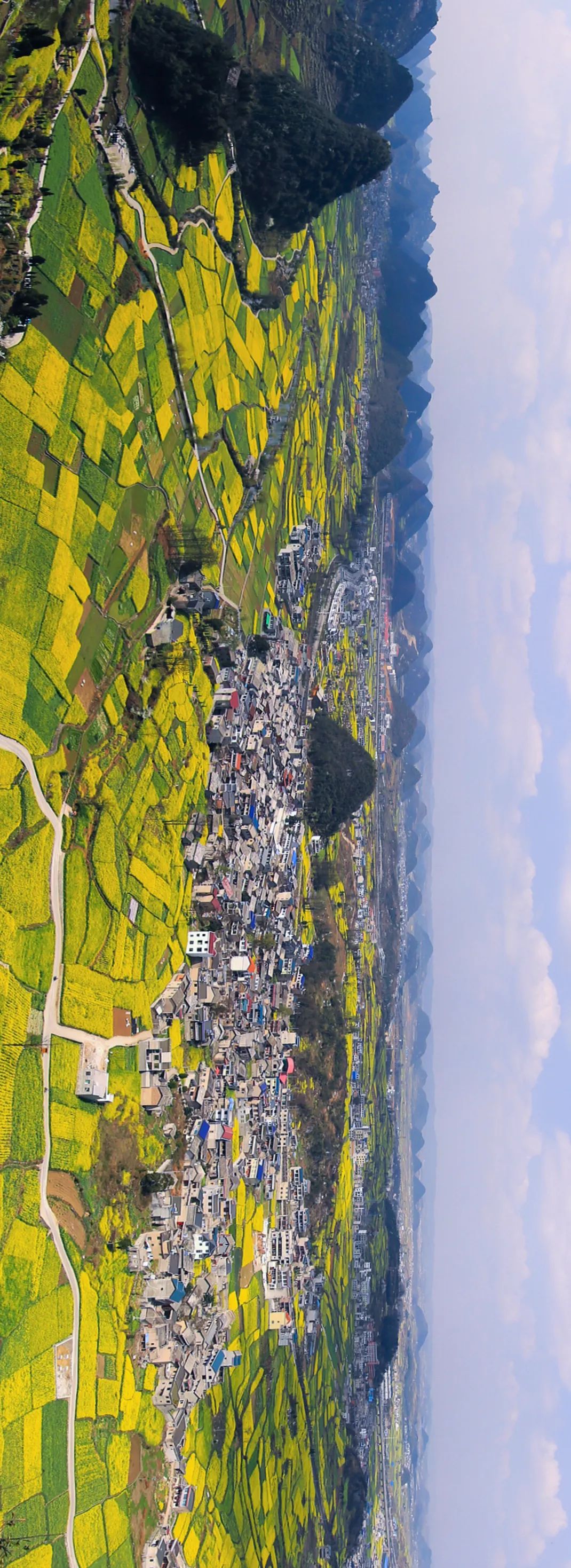 怎么才能看懂中国历史,如何详细的了解中国的历史