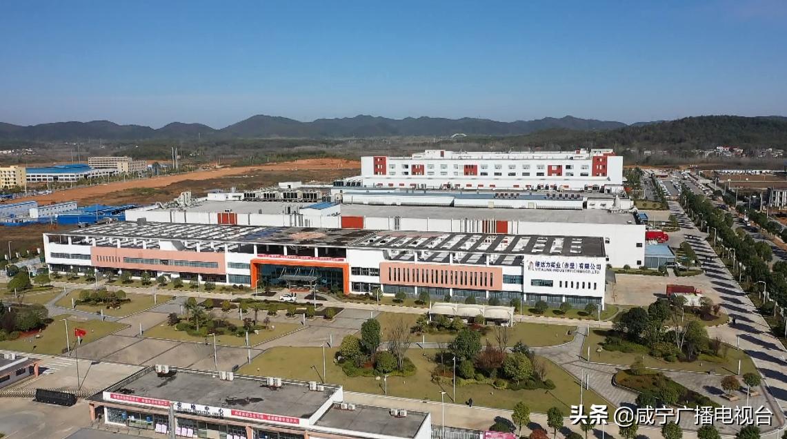 新春走基层雄安新区,新春走基层乡村振兴