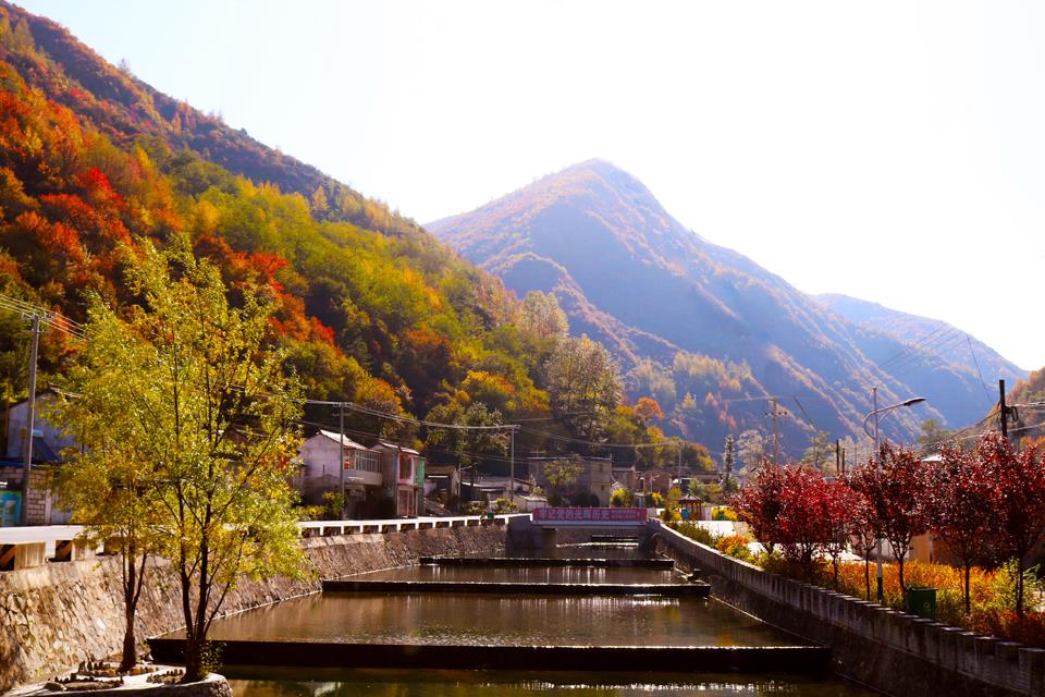 天然氧吧养生避暑,天然氧吧休闲养生的好地方