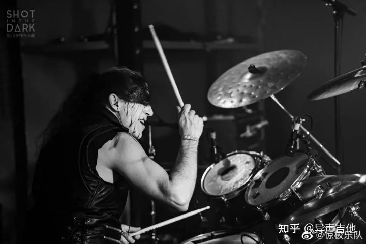 斑鸠的五种常见叫声,疫情下我学会了什么技能