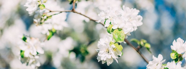 52岁女教授以为得了卵巢癌，把银行密码告诉儿子，结果令人笑哭！