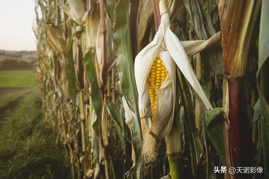 理光GRⅢGRⅢx为什么要双持?