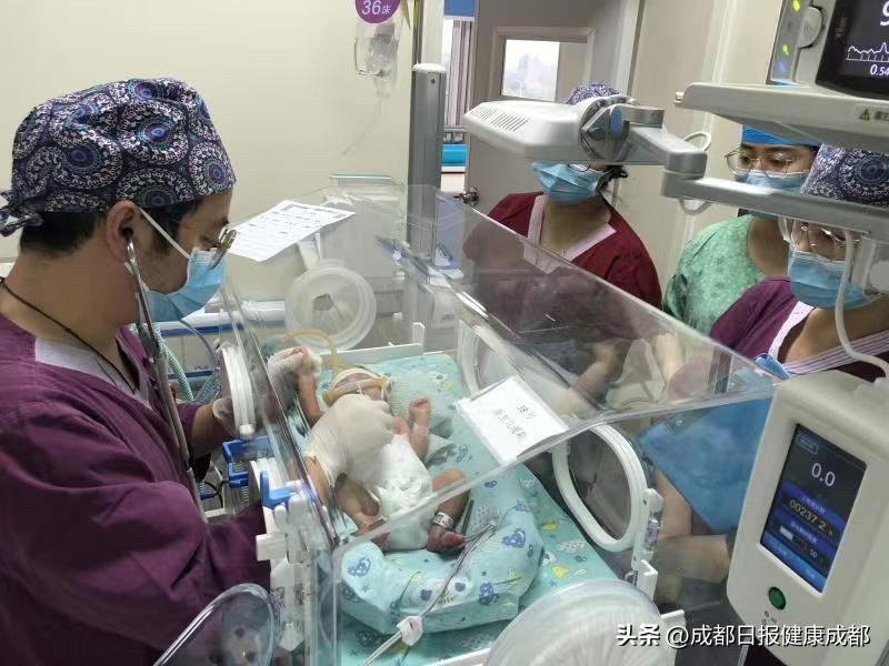 多学科协作37岁首孕妈妈双胞胎顺产成功