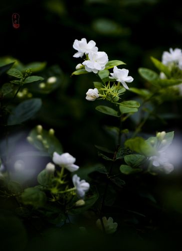 散文内心深处的孤独,散文放松心灵的美好时光