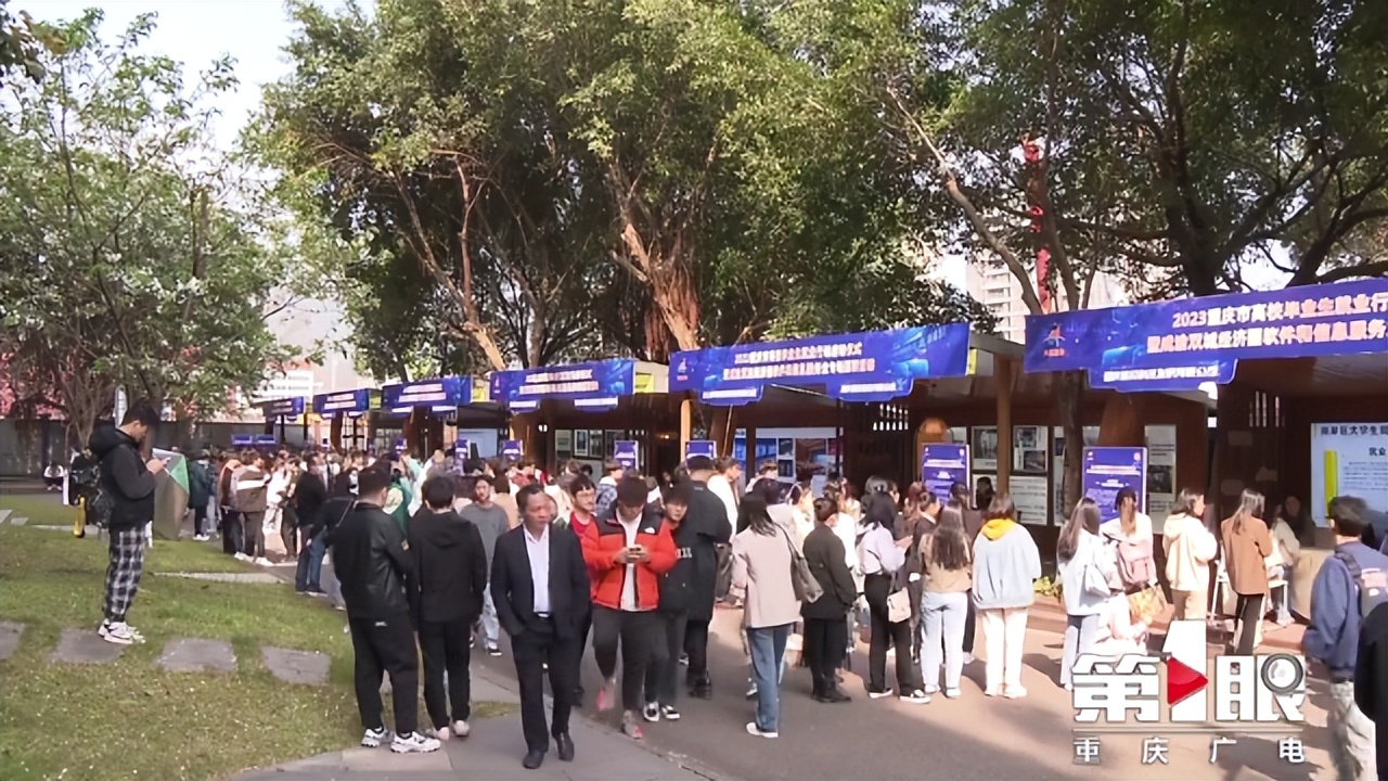 重庆市新增就业人数,重庆全市就业人员工资预计增长率