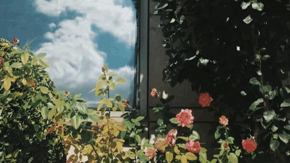 超高频英语1000句,英语高一必背109个口诀