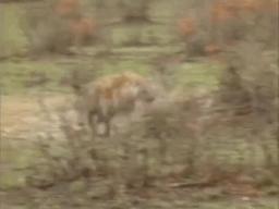 弱者只会抱怨而强者只会适应环境,人要对自己好一点幽默搞笑图片