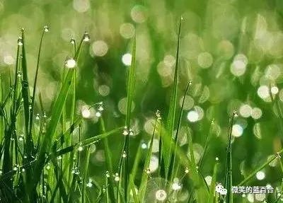 岁月安生时光静好,岁月静好万物皆期待