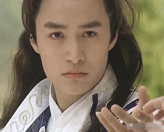 好看的桃花眼男明星,男演员的演技