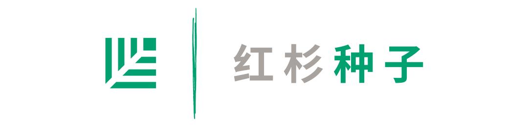 红杉种子|这些误区，小型科技初创公司要注意避开