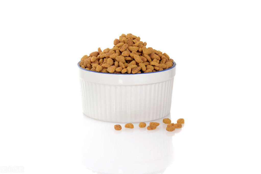 加菲猫太瘦了怎么增肥最快,加菲猫特别胖如何减肥