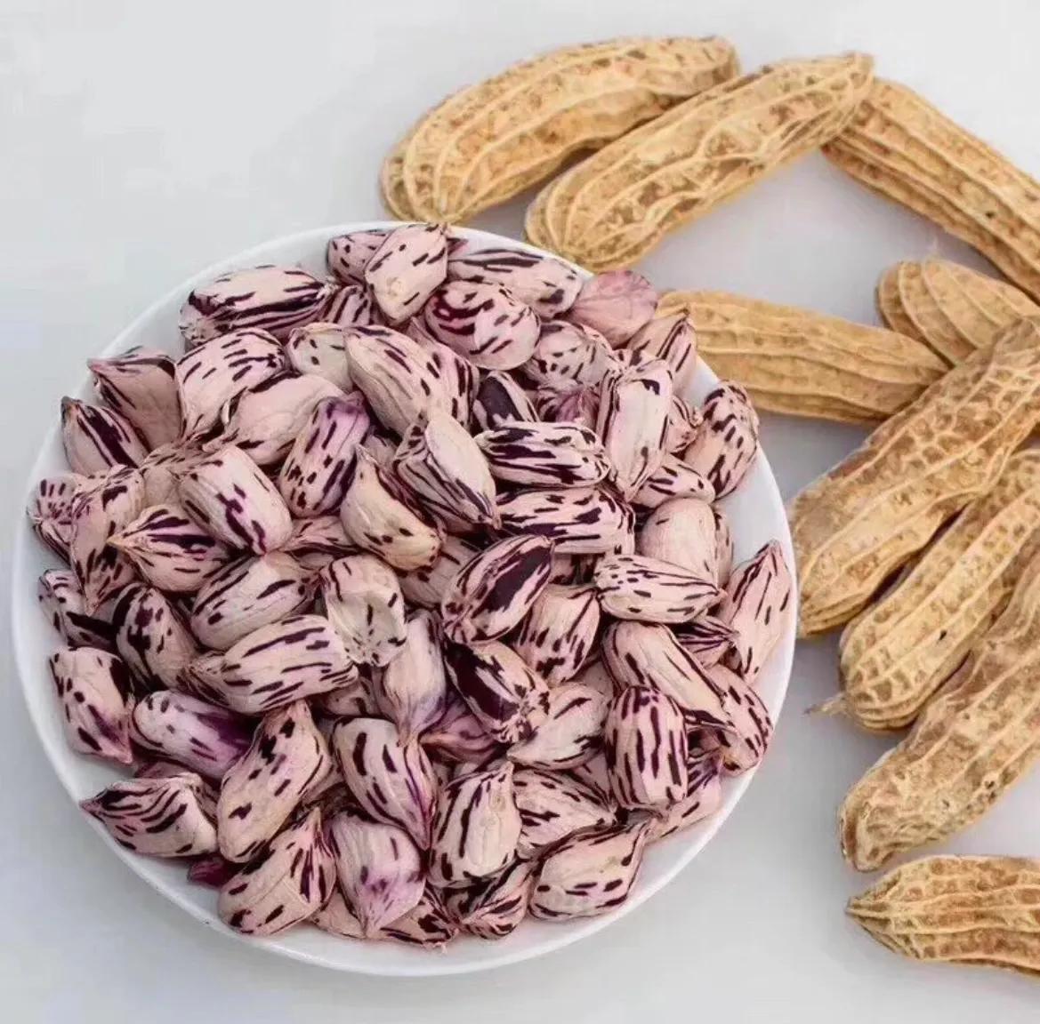 紫红花生和粉色的花生有区别吗,黑色花生和红色花生营养价值