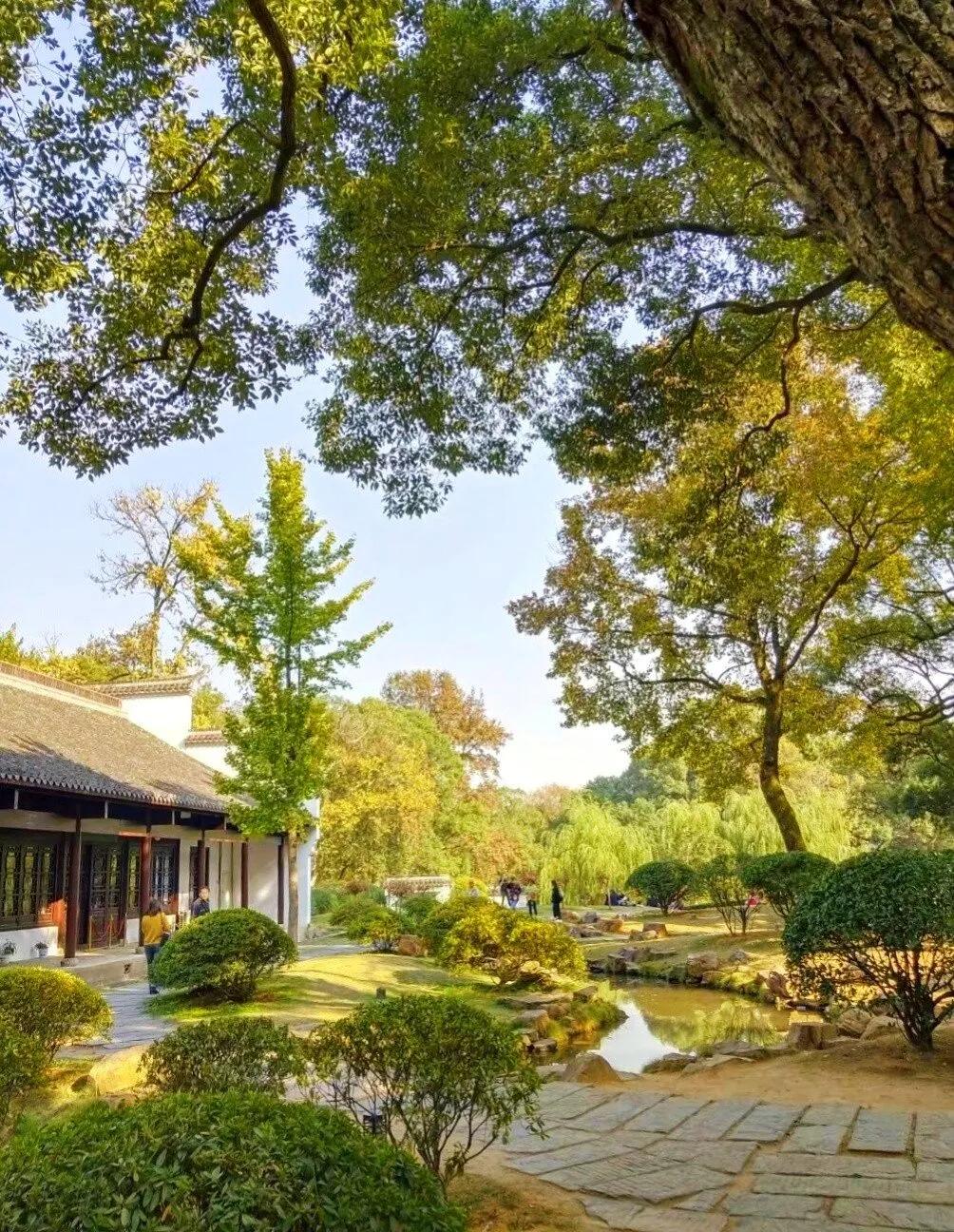 赞美秋日的经典诗,赞美秋日伤感的诗