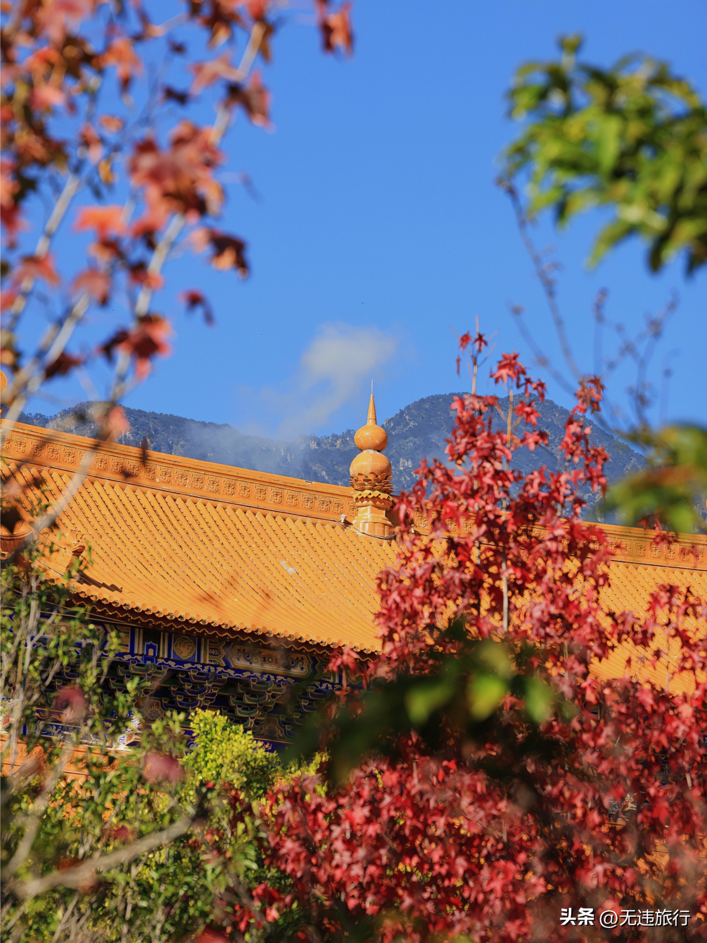 大理古城银杏叶美景,大理崇圣三塔附近景点