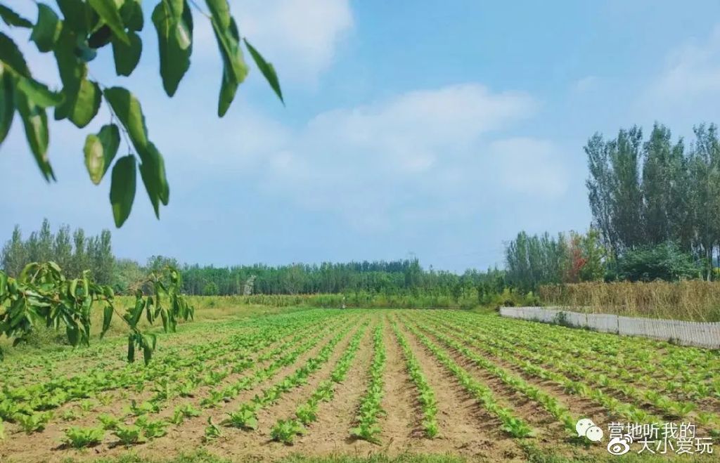 北京适合孩子玩的农场,一年四季都可以去的亲子农场