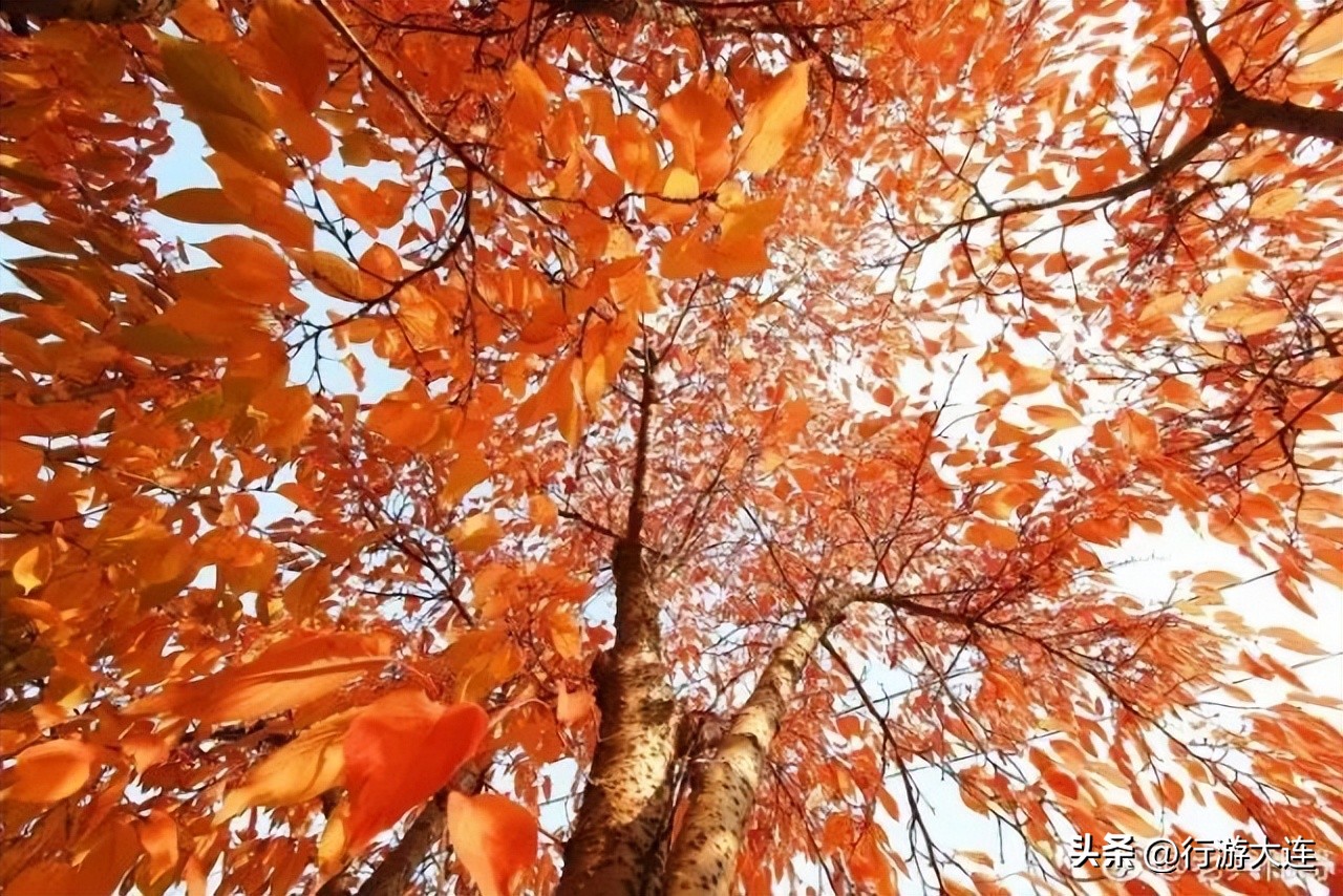 大连徒步爬山景点,大连十大登山攻略大全
