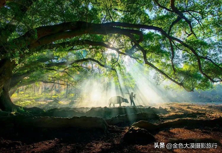 【2023年霞浦摄影团】诗画滩涂·霞浦风光人文5日摄影