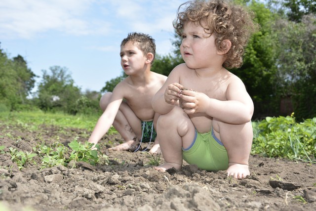 2022年三伏哪天开始哪天结束,2023年入伏三伏时间表共多少天