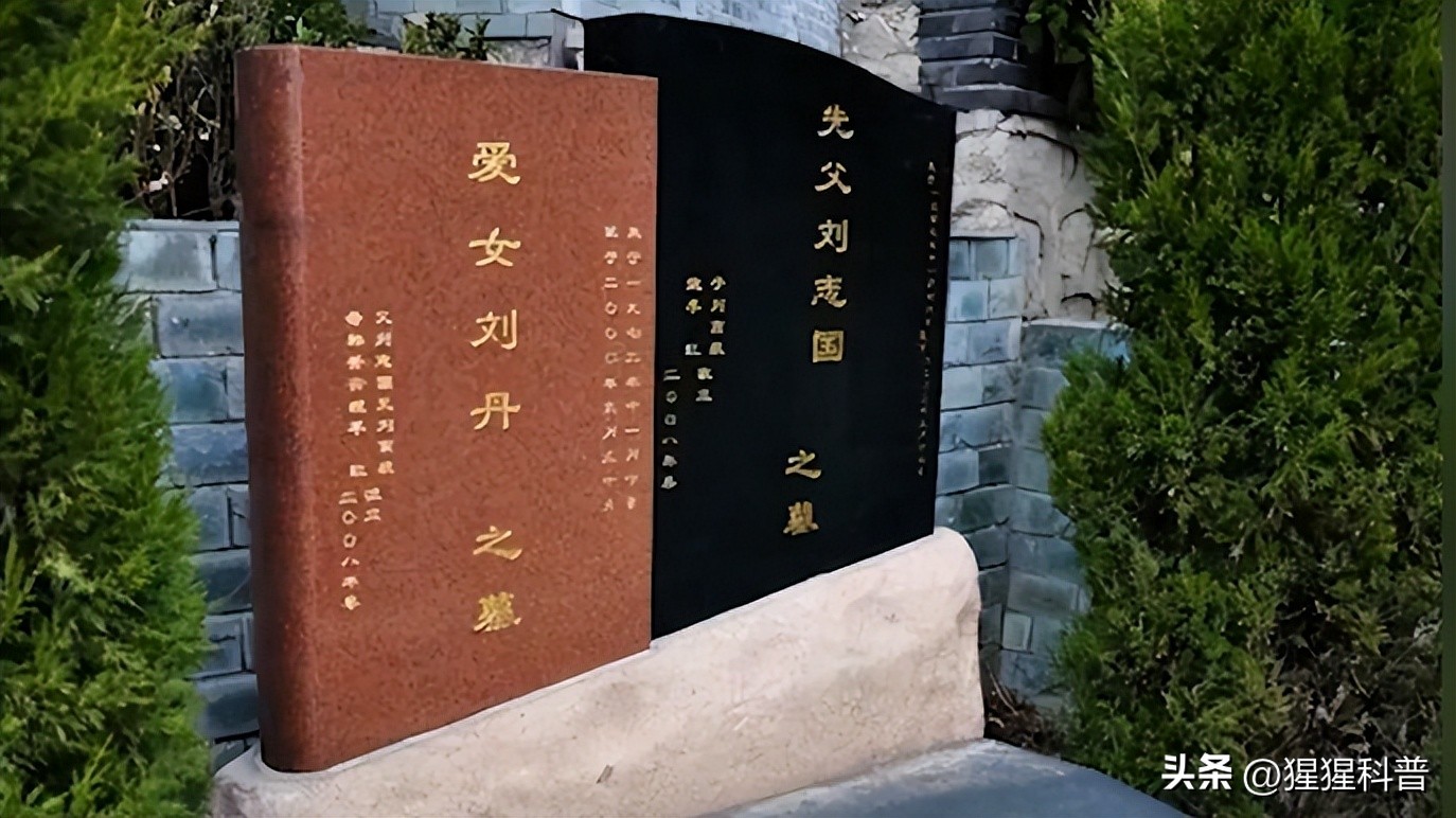 10位凄惨离世明星,盘点8位凄惨离世的网红