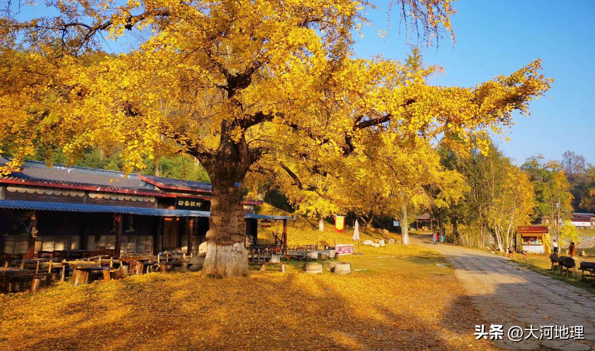旅游攻略国内十大必去景点南方,中国南方著名景点