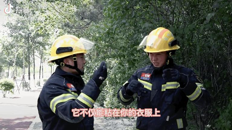 两个月大的军犬巡逻,两个月大的狗狗训犬