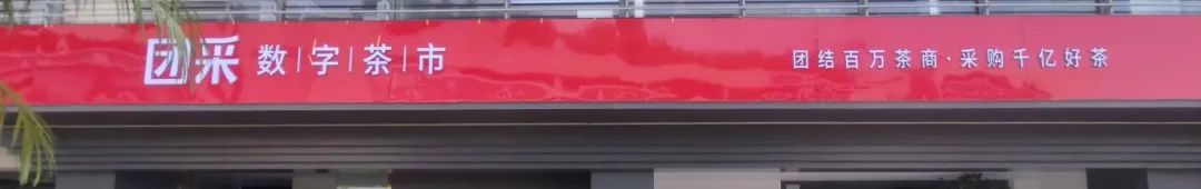 春茶季带你选好茶,春茶上市如何挑选好茶