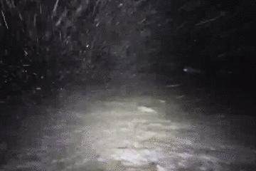 北极圈极夜生活,北极圈的极夜生活