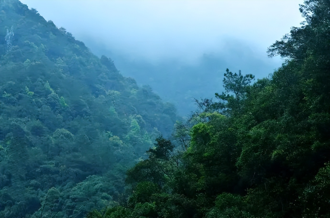 韶关小坑国家森林公园游玩攻略,韶关市内小景点