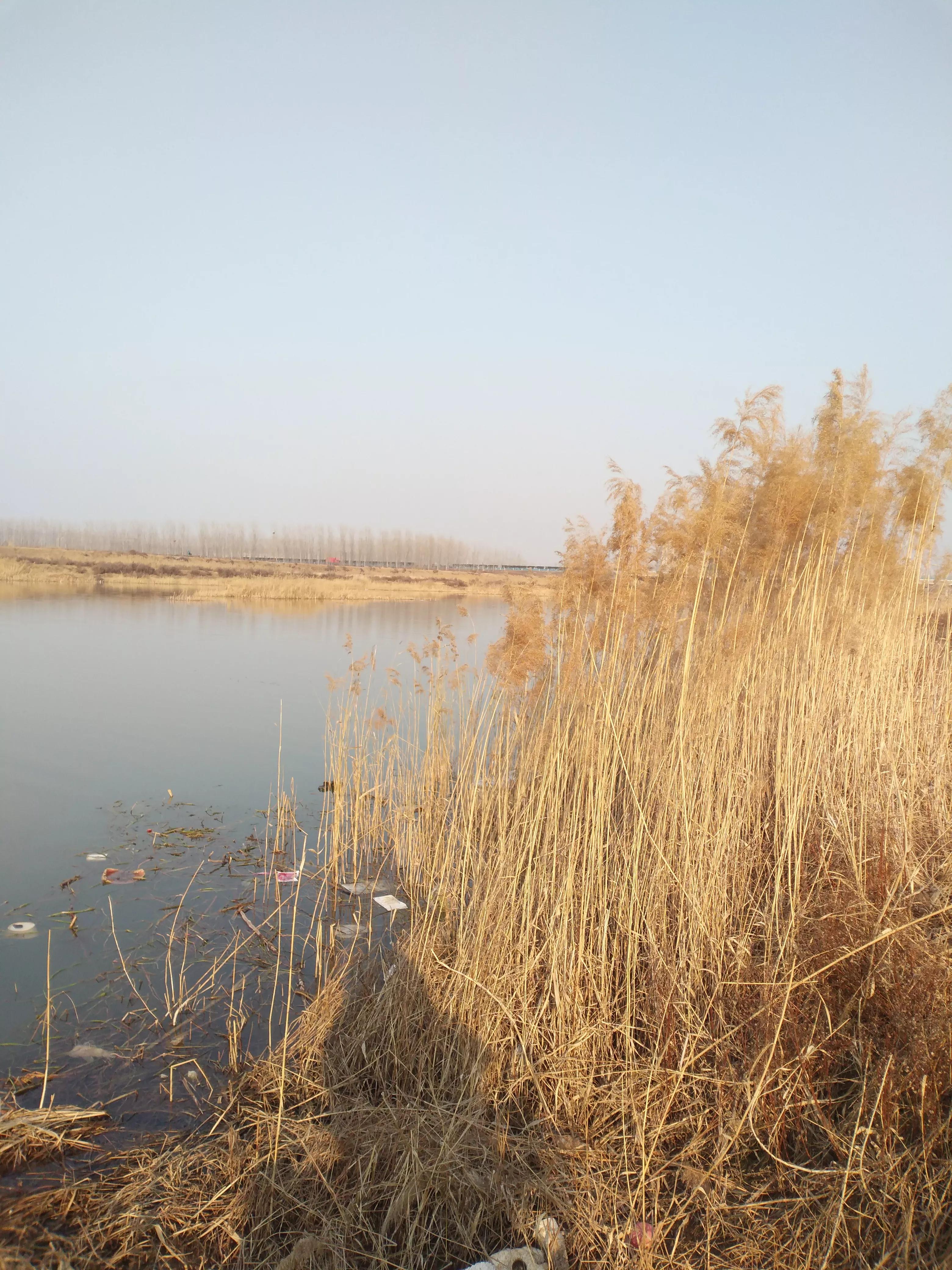 最详细易懂的调漂,新手入门级调漂方法特别容易上手