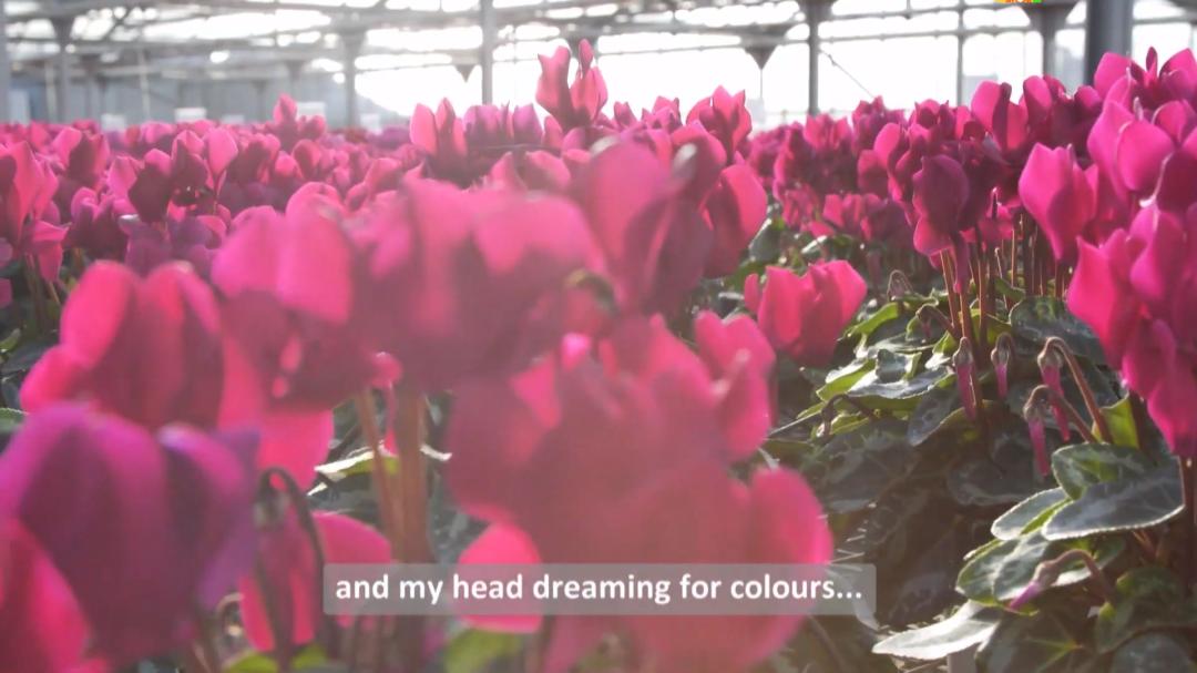 娉曞浗鑾幈灏斾粰瀹㈡潵鍝佺,鑾幈灏斾粰瀹㈡潵