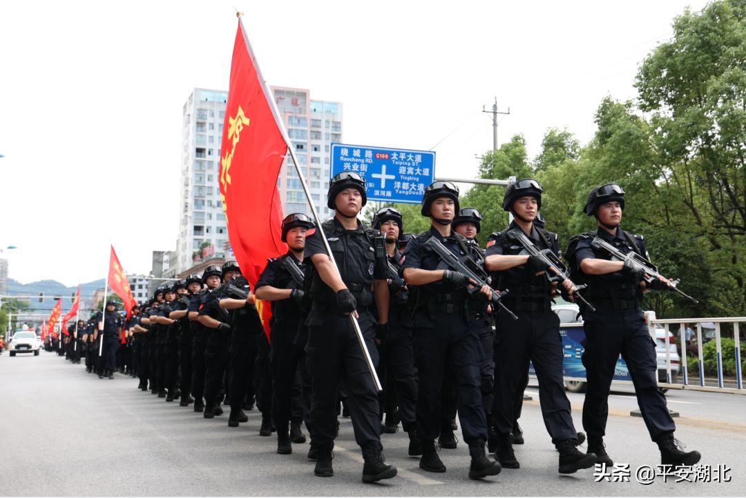 湖北公安发布百日行动阶段性战果,湖北公安百日行动