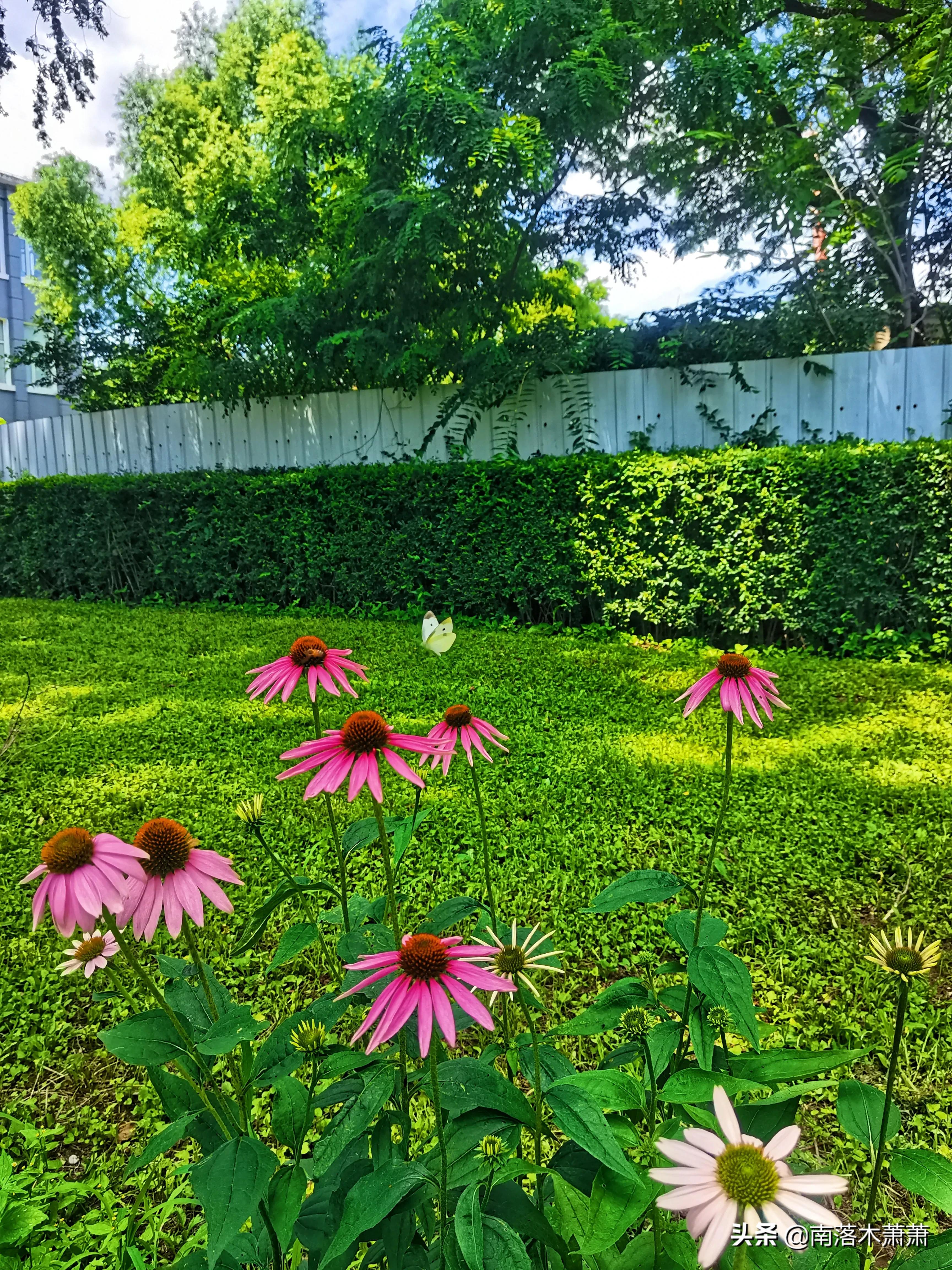 沈阳皇姑新乐遗址,参观沈阳新乐遗址博物馆
