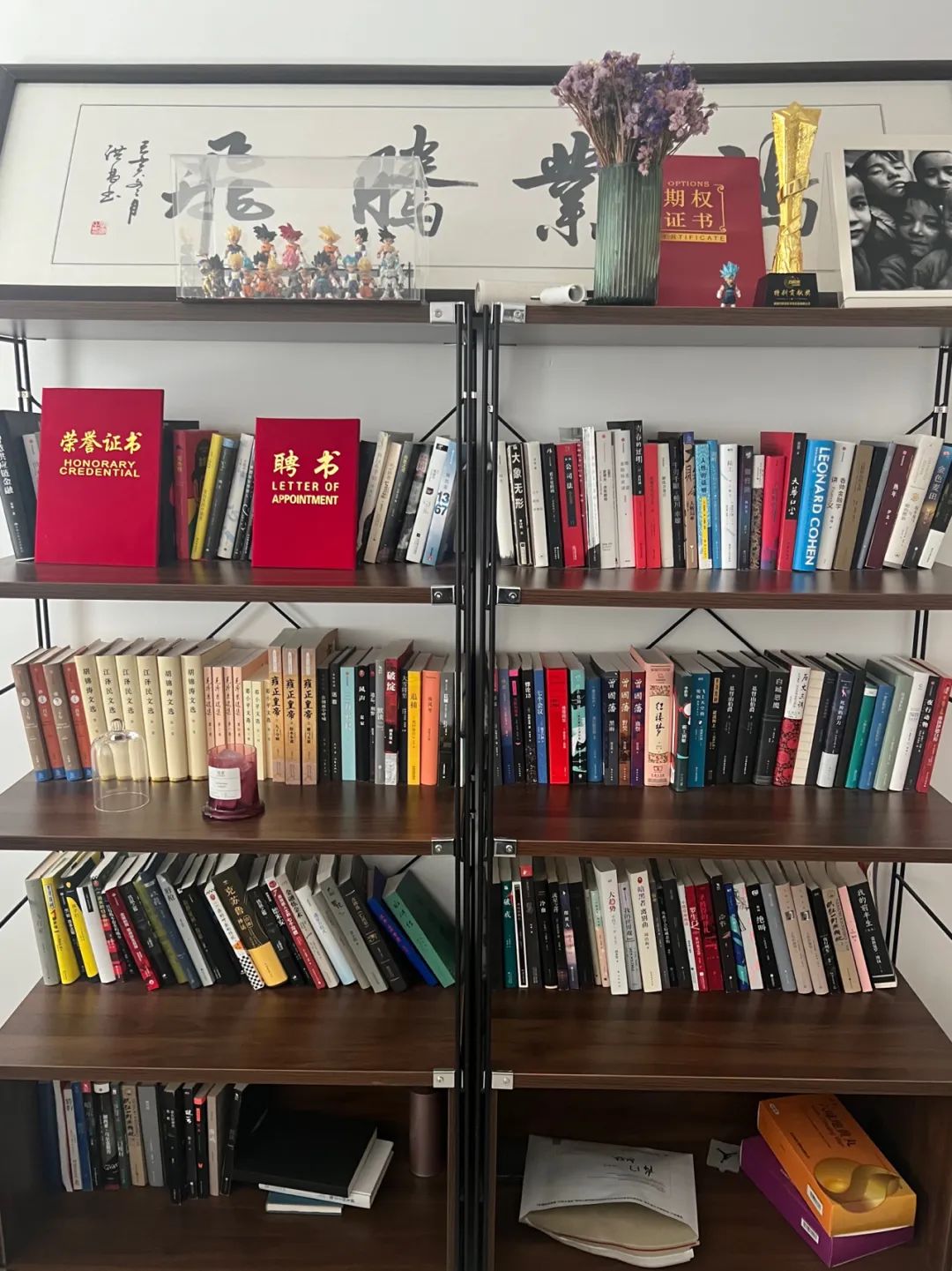 我在新疆创业,我在新疆做生意