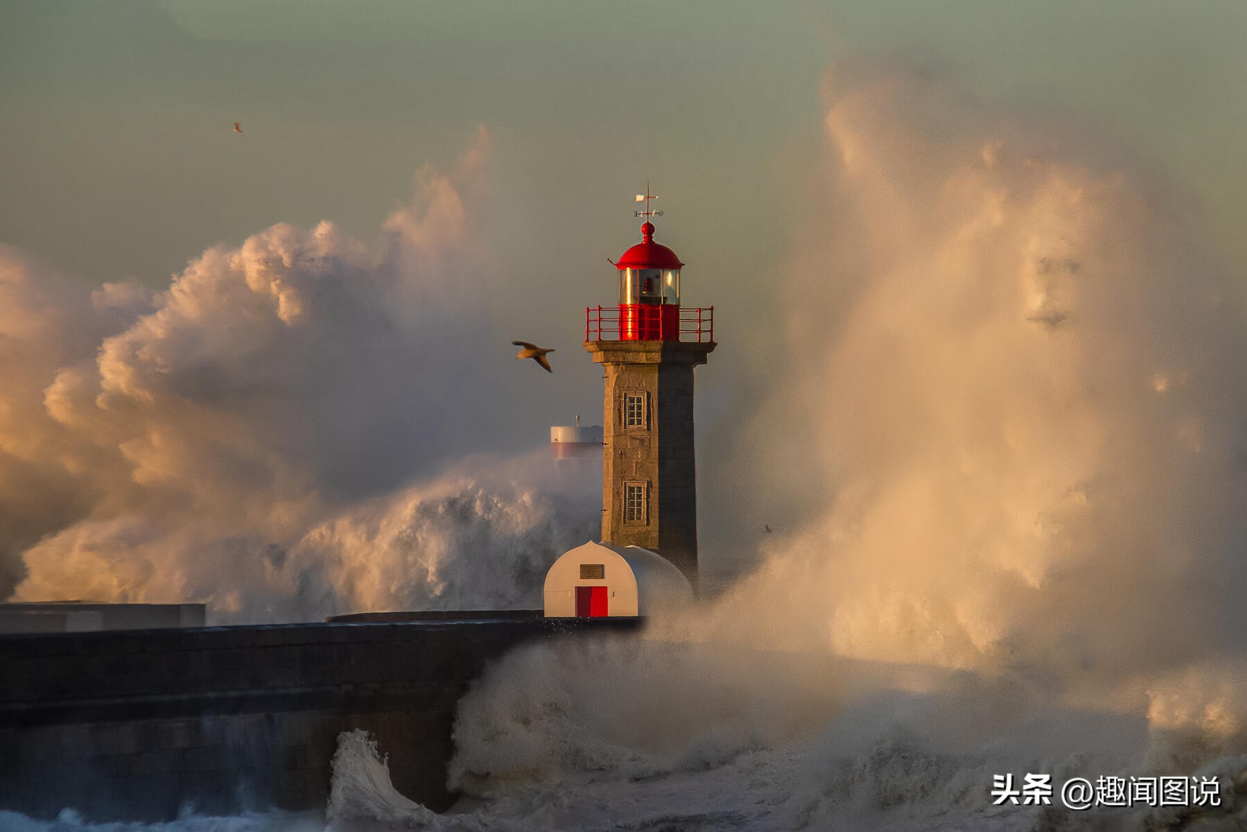 风靡美国的柠檬杯胸罩，印度*队军**的大象战机，36张图看世界