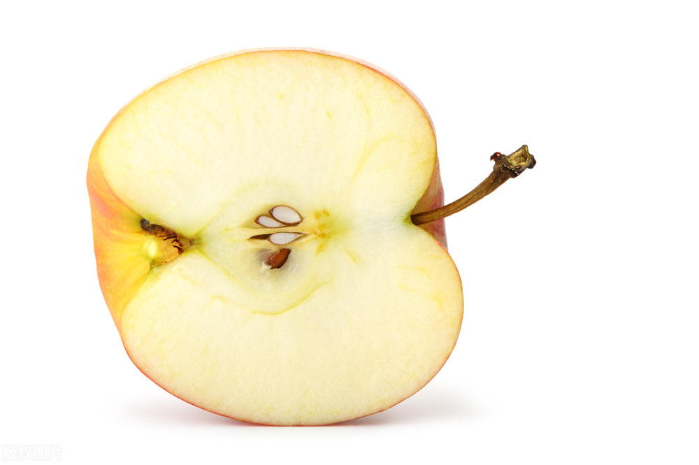 鹦鹉突然死掉原因,鹦鹉幼鸟突然死了原因