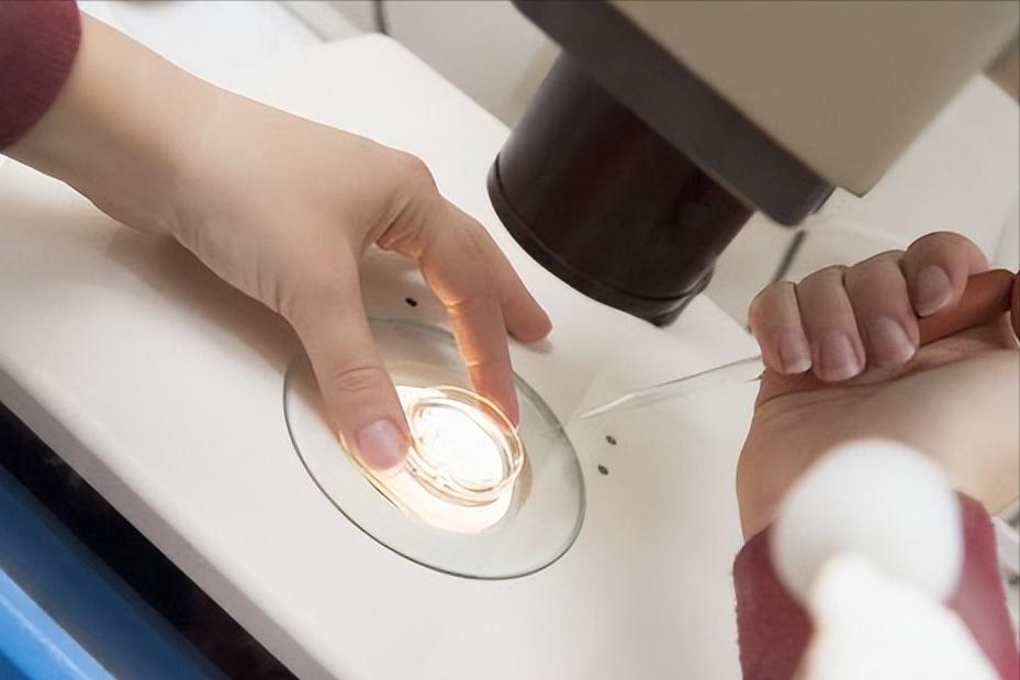 人类没有到绝经年龄会不会绝经,男人多少岁才不容易出轨了